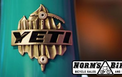 yeti-norms
